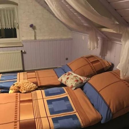 Gemuetliche 3 Raum Wohnung Im Dachgeschoss Ehrenfriedersdorf Екстер'єр фото